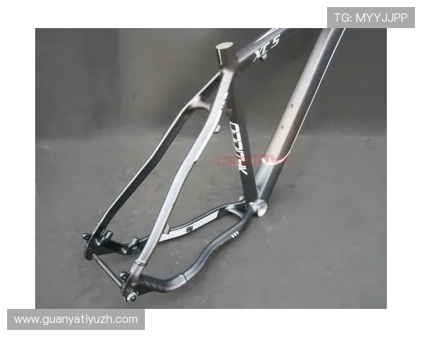 欧帝体育运动装备购买指南：帮助用户挑选性价比最高的运动器材与配件